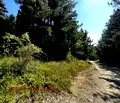 Снимка 4 — Парцел в Благоевград, Разлог