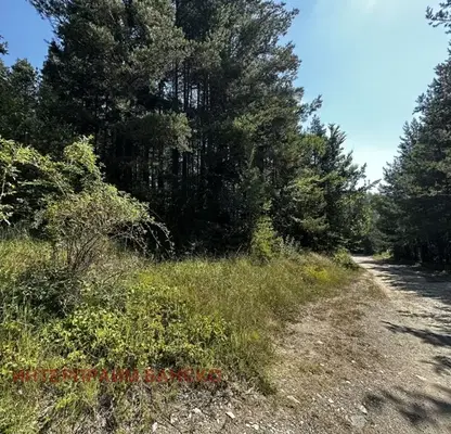 Photo 4 — Plot in Blagoevgrad, Razlog