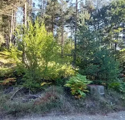 Photo 2 — Plot in Oblast Blagoevgrad, Razlog