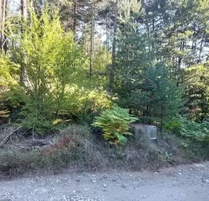 Photo 4 — Plot in Oblast Blagoevgrad, Razlog