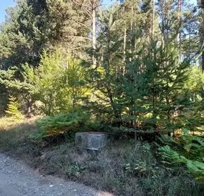 Photo 5 — Plot in Oblast Blagoevgrad, Razlog