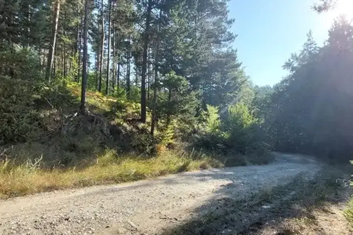 Парцел в Благоевград, Разлог