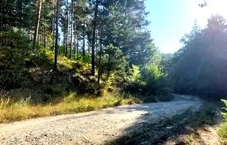 Парцел в Благоевград, Разлог
