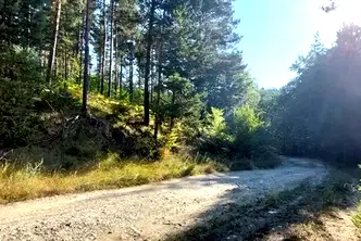 Парцел в Благоевград, Разлог