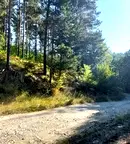 Парцел в Благоевград, Разлог