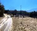 Снимка 5 — Парцел в Благоевград, Разлог