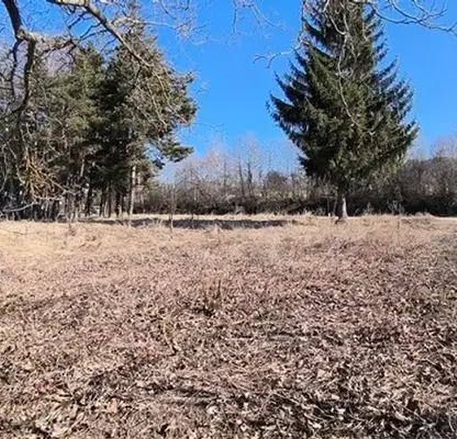 Снимка 4 — Парцел в Благоевград, Разлог