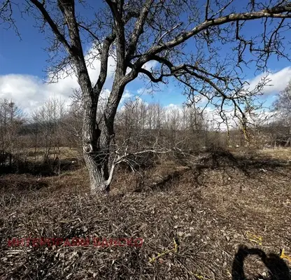 Снимка 5 — Парцел в Благоевград, Разлог