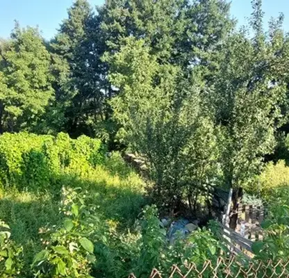 Photo 4 — Plot in Oblast Blagoevgrad, Razlog