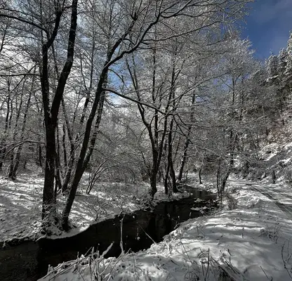 Photo 2 — Plot in Oblast Blagoevgrad, Razlog