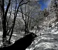 Снимка 4 — Парцел в Благоевград, Разлог