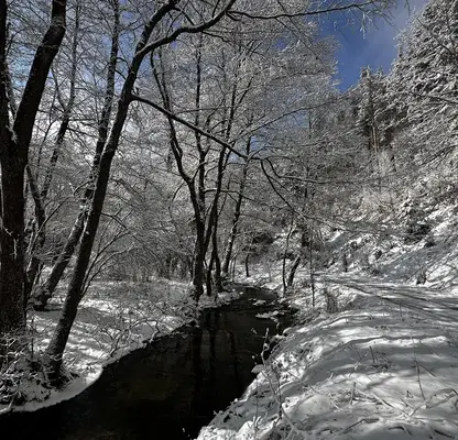 Photo 4 — Plot in Oblast Blagoevgrad, Razlog