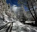 Снимка 5 — Парцел в Благоевград, Разлог