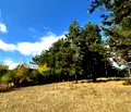 Снимка 3 — Парцел в Благоевград, Разлог