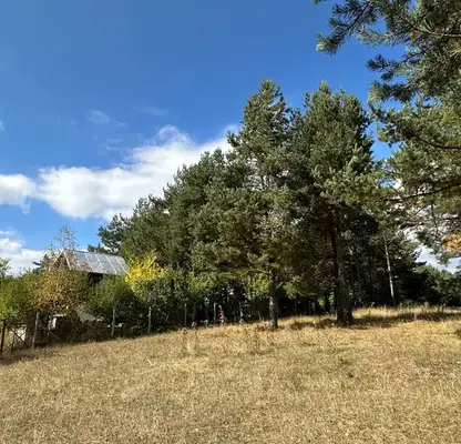 Photo 3 — Plot in Oblast Blagoevgrad, Razlog