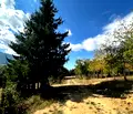 Снимка 4 — Парцел в Благоевград, Разлог