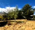 Снимка 5 — Парцел в Благоевград, Разлог