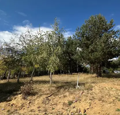 Photo 5 — Plot in Oblast Blagoevgrad, Razlog