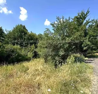 Photo 2 — Plot in Oblast Blagoevgrad, Razlog