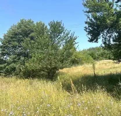 Photo 3 — Plot in Oblast Blagoevgrad, Razlog