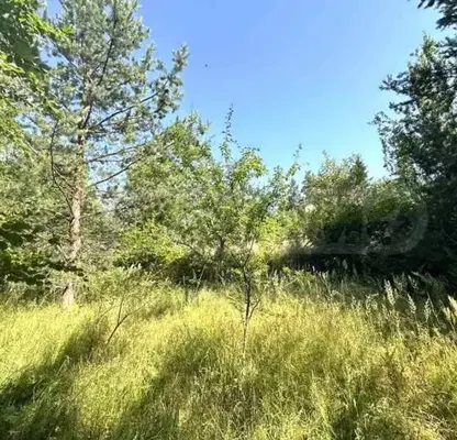 Photo 4 — Plot in Oblast Blagoevgrad, Razlog