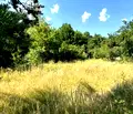 Снимка 5 — Парцел в Благоевград, Разлог