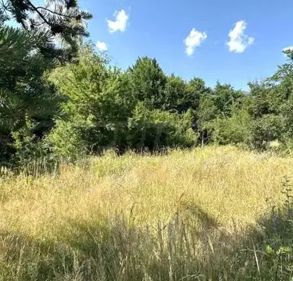 Photo 5 — Plot in Oblast Blagoevgrad, Razlog
