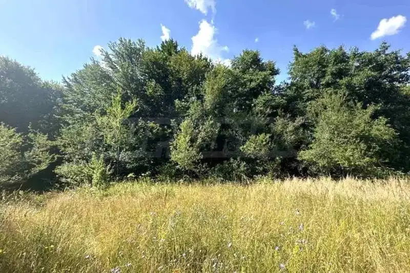 Plot in Oblast Blagoevgrad, Razlog