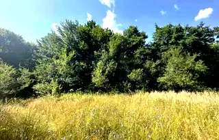 Парцел в Благоевград, Разлог