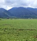 Парцел в Благоевград, Разлог