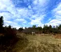 Снимка 5 — Парцел в Благоевград, Разлог