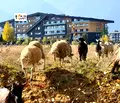 Снимка 2 — Парцел в Благоевград, Разлог