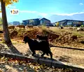 Снимка 3 — Парцел в Благоевград, Разлог