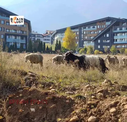 Снимка 4 — Парцел в Благоевград, Разлог