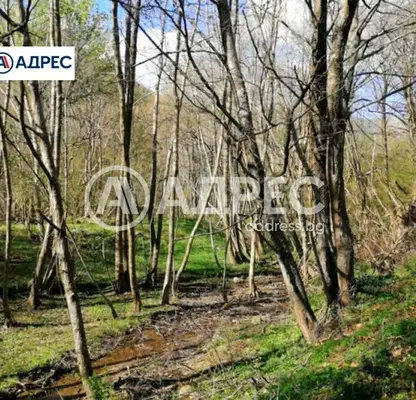 Photo 3 — Plot in Oblast Blagoevgrad, Sandanski