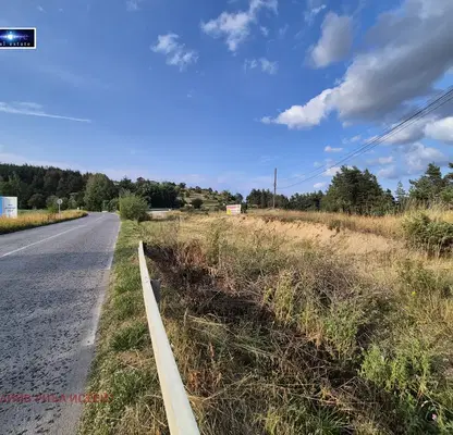 Photo 2 — Plot in Oblast Blagoevgrad, Avramovo