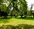 Снимка 2 — Парцел в Благоевград, с. Бачево