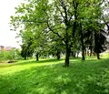 Снимка 4 — Парцел в Благоевград, с. Бачево