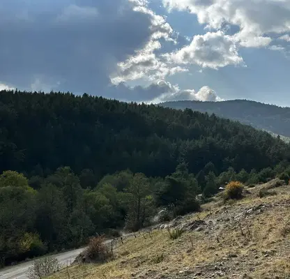 Photo 5 — Plot in Oblast Blagoevgrad, Bachevo