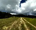 Снимка 3 — Парцел в Благоевград, с. Бачево