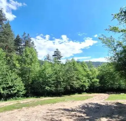 Photo 3 — Plot in Oblast Blagoevgrad, Bachevo