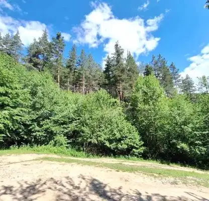 Photo 4 — Plot in Oblast Blagoevgrad, Bachevo