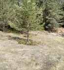 Парцел в Благоевград, с. Баня