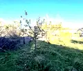 Снимка 4 — Парцел в Благоевград, с. Баня
