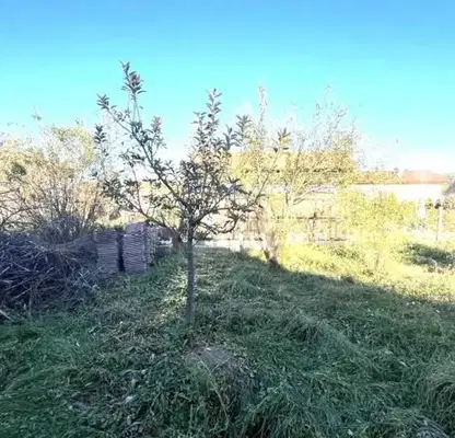 Снимка 4 — Парцел в Благоевград, с. Баня