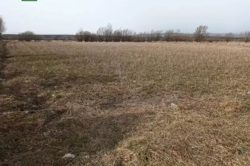 Plot in Oblast Blagoevgrad, Banya