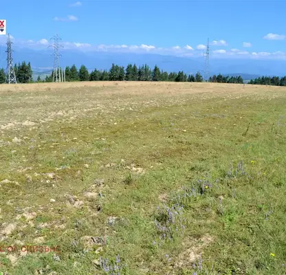 Снимка 5 — Парцел в Благоевград, с. Баня