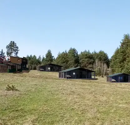 Photo 4 — Plot in Oblast Blagoevgrad, Banya