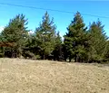 Снимка 5 — Парцел в Благоевград, с. Баня