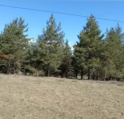 Photo 5 — Plot in Oblast Blagoevgrad, Banya